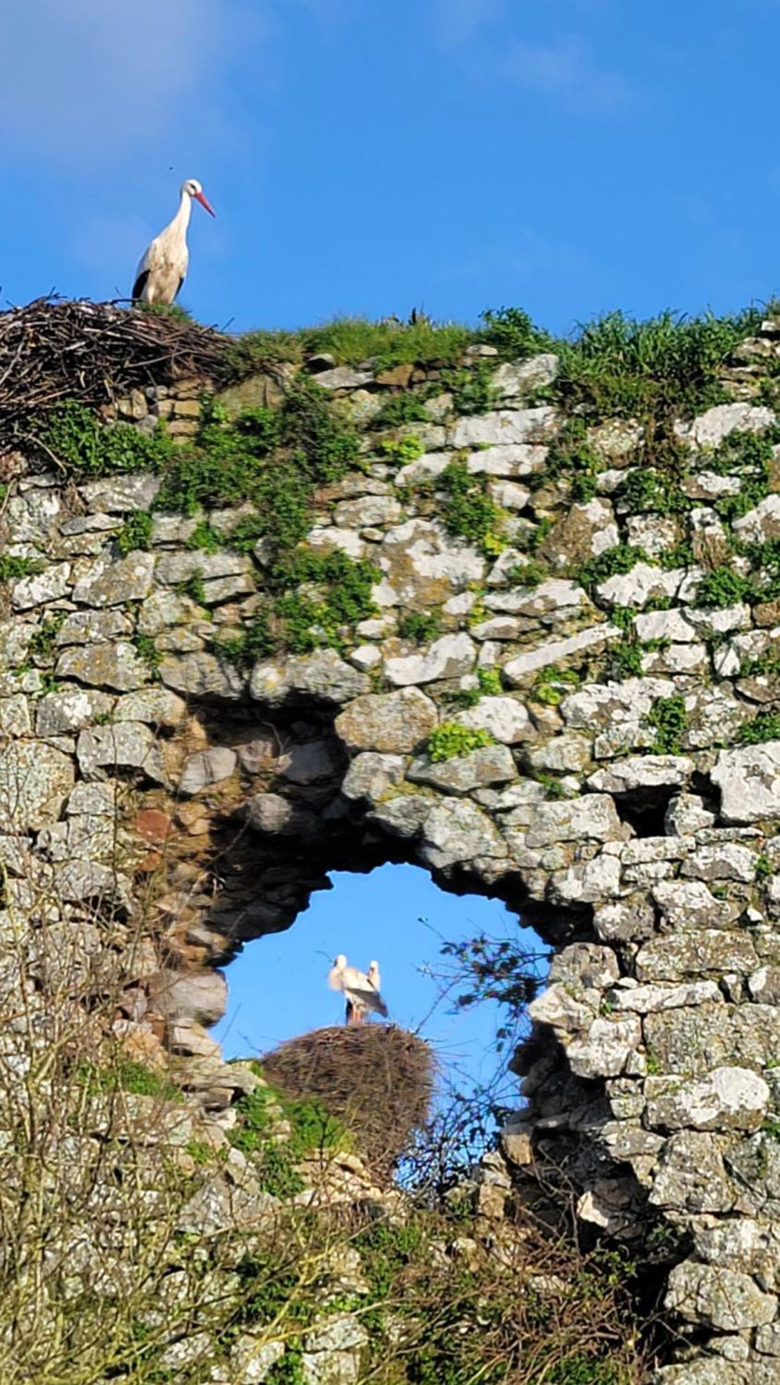 Gite Au Coeur Du Dday Brevands Luaran gambar